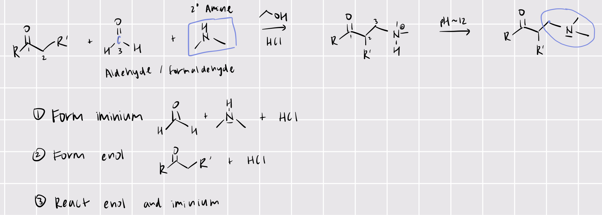 knowt flashcard image