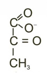 <p>What is the name of this biomolecule?</p><p>A) Acetyl-CoA</p><p>B) Glucose</p><p>C) Fructose-6-phosphate</p><p>D) Pyruvate</p><p>E) Glyceraldehyde-3-phosphate</p>