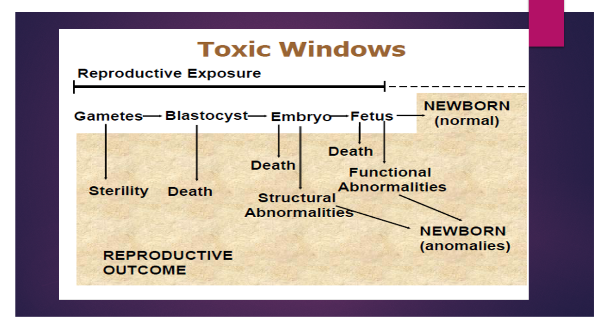 1. death of the fetus
2. structural malformation
3. altered growth
functional deficiency

idk about the graph