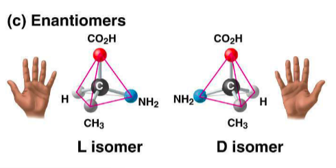 <p>Eantiomers</p>