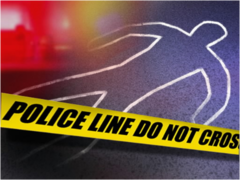 <p>the killing of one person by another (noun)</p>