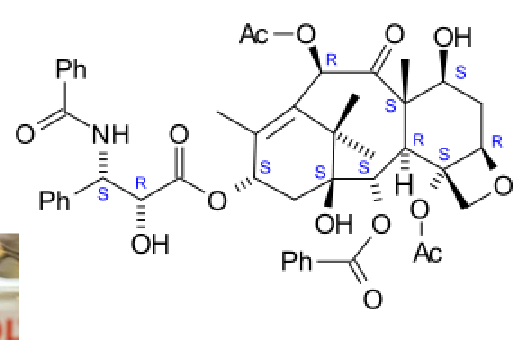 <p>(herken) 8 ring</p>