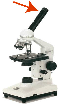 Identify this part of the microscope.