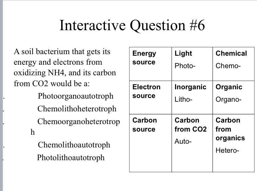 <p>Practice Question (Metabolism) - A soil bacterium that gets its energy and electrons from oxidizing NH4, and its carbon from CO2 would be a:</p>