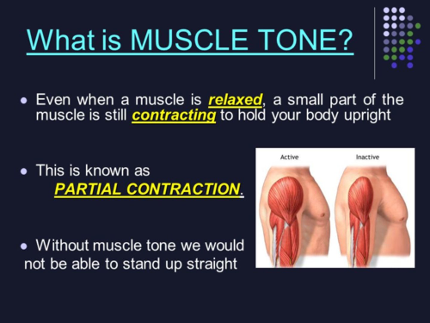 <p>state of partial contraction, no movement produced</p>