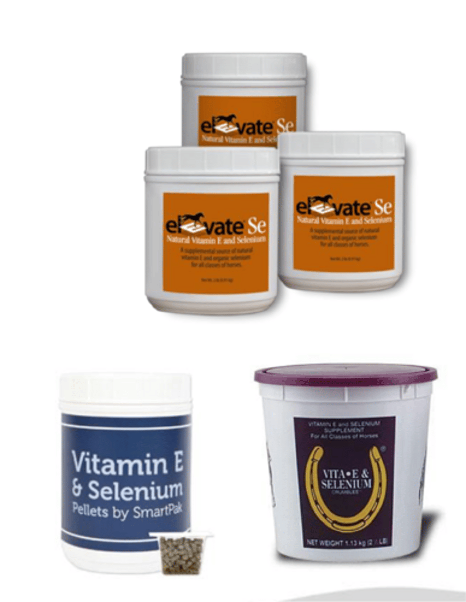 <p>when tx. vitamin E deficiency in horses ___ and ___ are often combined together</p>