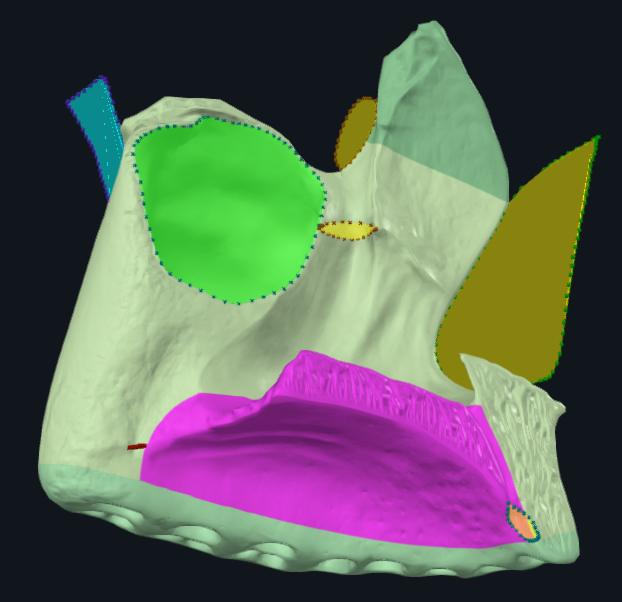 term image