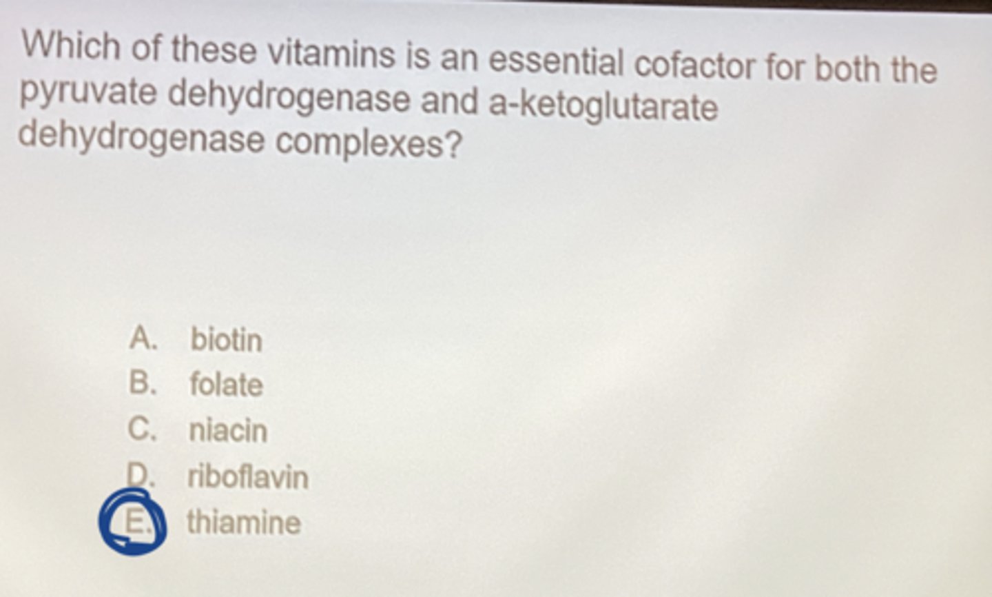 <p>thiamine</p>