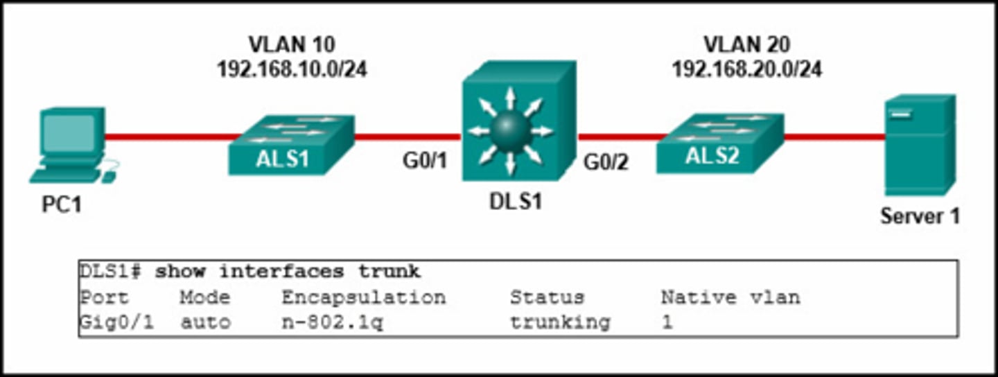 <p>Refer to the exhibit. PC1 is unable to communicate with server 1. The network administrator issues the show interfaces trunk command to begin troubleshooting. What conclusion can be made based on the output of this command?</p><p>- Interface G0/2 is not configured as a trunk.</p><p>- VLAN 20 has not been created.</p><p>- The encapsulation on interface G0/1 is incorrect.</p><p>- The DTP mode is incorrectly set to dynamic auto on interface G0/1.</p>