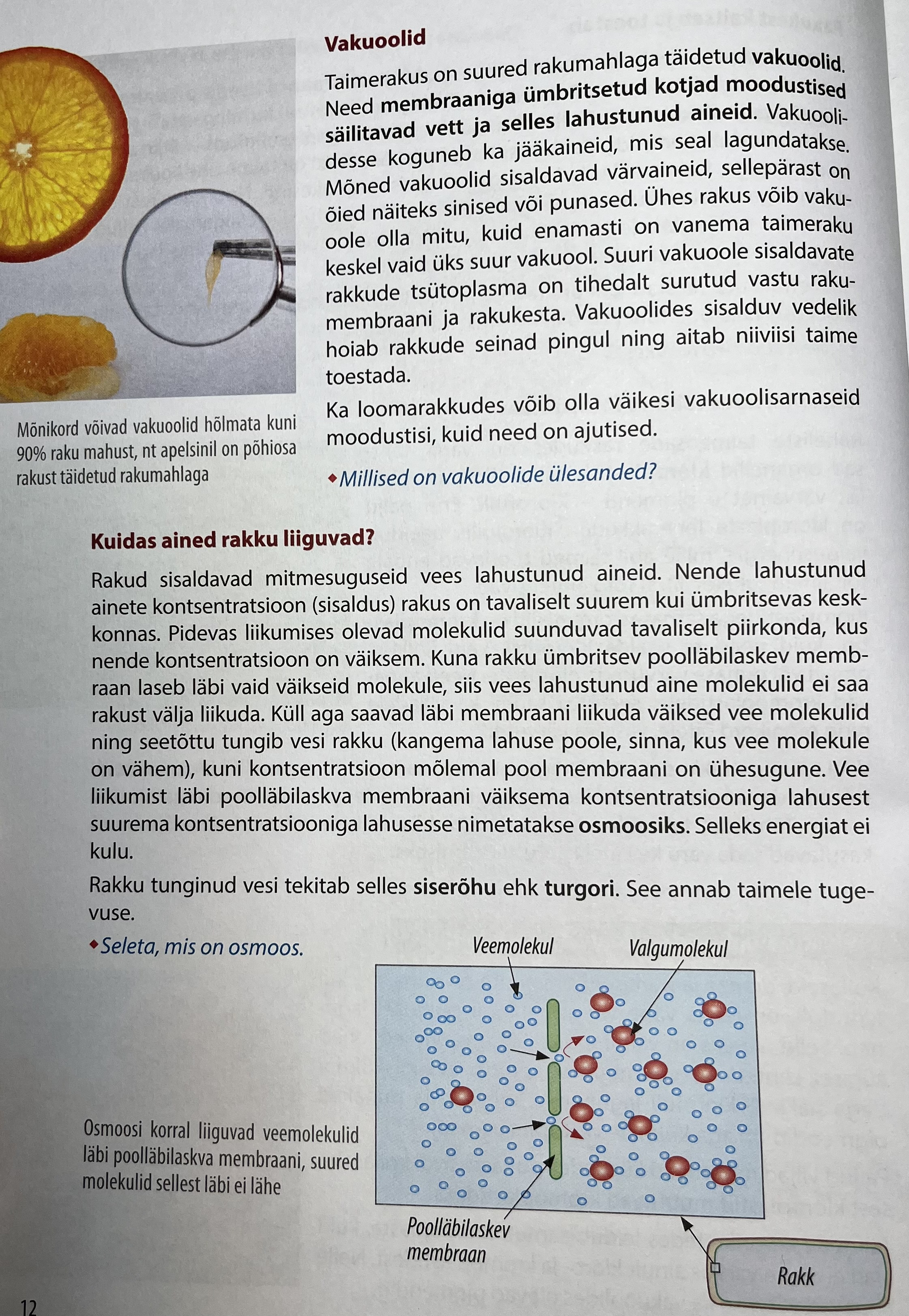 <p>Vee liikumine läbi poolläbilaskva membraani väiksema kontsentratsiooniga lahusest suurema kontsentratsiooniga lahusesse.</p>