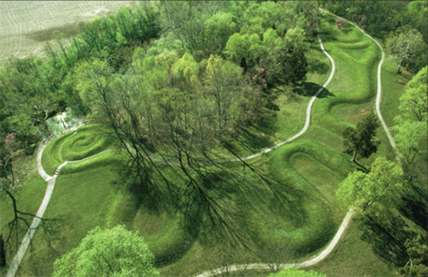 <p>MISSISIPIANS, Earthwork!<br><br>Added to and changed over long periods of time. Unclear origin! <br>Could only be appreciated from a high place. <br>Coule represent a snake (crop fertility), eagle eating a sun, halleys comet, or calendar</p>