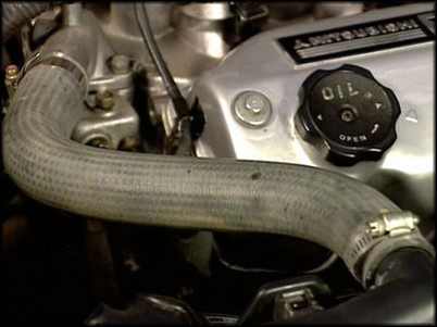 <p><strong>Radiator Hoses</strong></p>