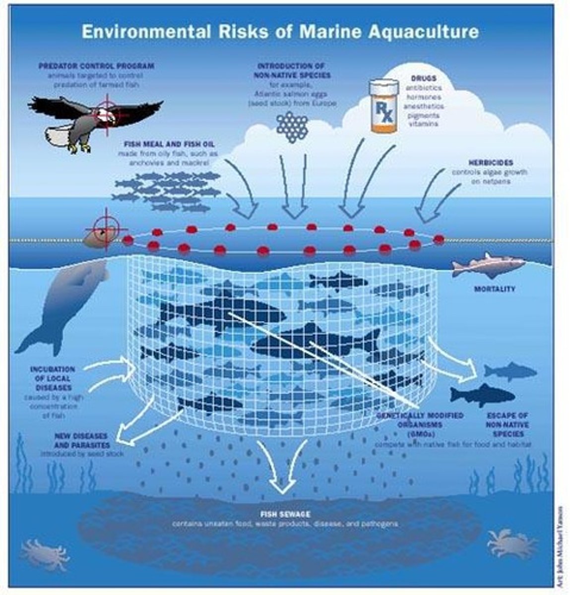 <p>Risks include farmed fish escaping and posing biological risks to wild populations, and pollution from farming practices.</p>
