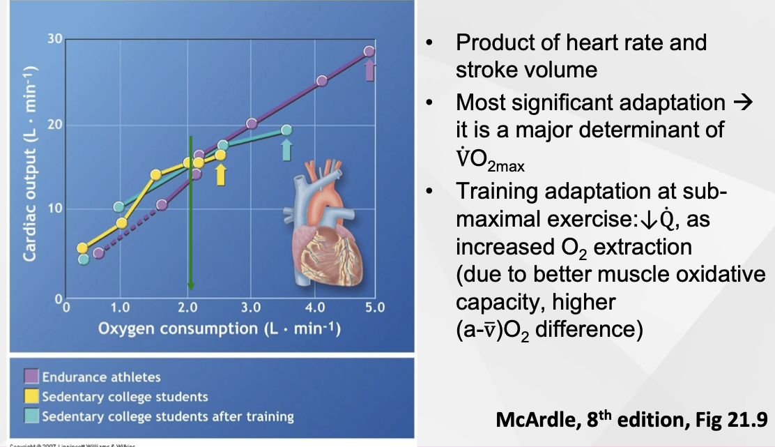 <p>Cardiac output = HR x SV = how much blood is ejected per minute</p><p></p>