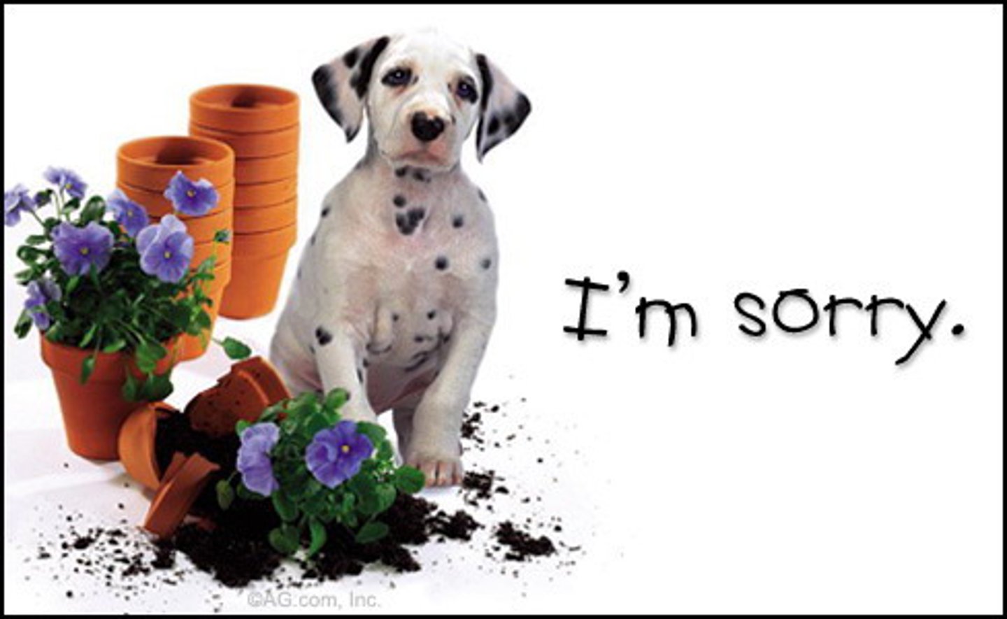 <p>to admit a mistake</p>