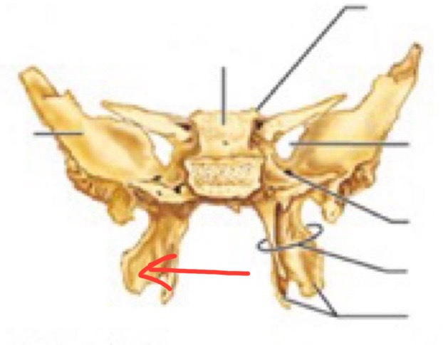 <p>what is this? </p>