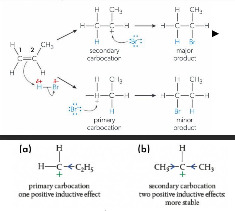 <ul><li><p>When an asymmetric alkene (such as propene CH2 −−CH−CH3 ) reacts with an asymmetric reactant (such as H X or H OH), two structural isomers are formed from two different competing reactions.</p></li></ul><p></p><ul><li><p>According to <span style="color: green"><strong><u>Markovnikov’s rule:</u></strong></span><span> </span>the + δ H or + δ X gets attached to the carbon with more hydrogen substituents, and the halide − δ X attaches to the carbon with more alkyl substituents (more stabilised carbocation aka secondary carbocation).</p></li></ul><p></p>