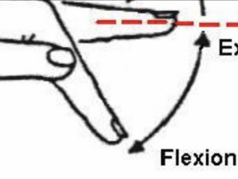 <p>Finger Flexion</p>