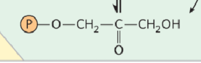 <p>What structure is this?</p>