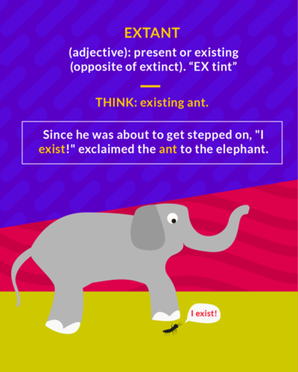 <p>still existing</p>