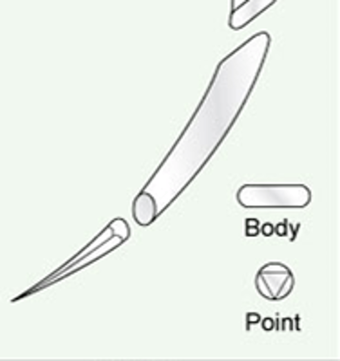 <p>has to cut its own way through the skin</p>