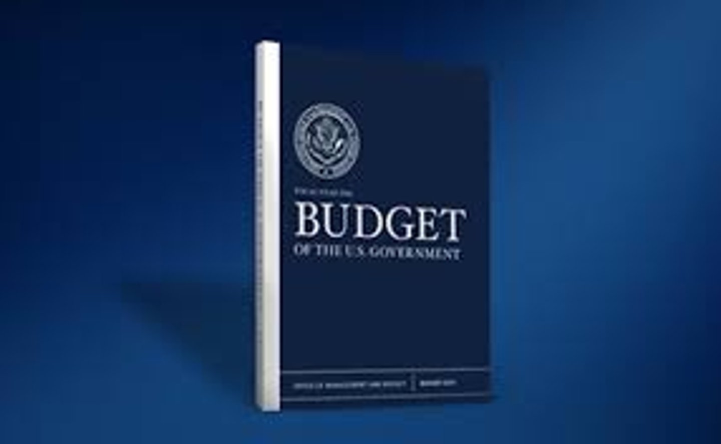 <p>An office that prepares the president's budget and also advises presidents on proposals from departments and agencies and helps review their proposed regulations</p>