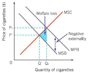 <p>Which externality is this, explain it, and explain how it becomes like this. What can fix it?</p>