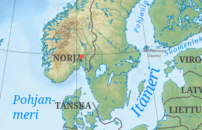 term image