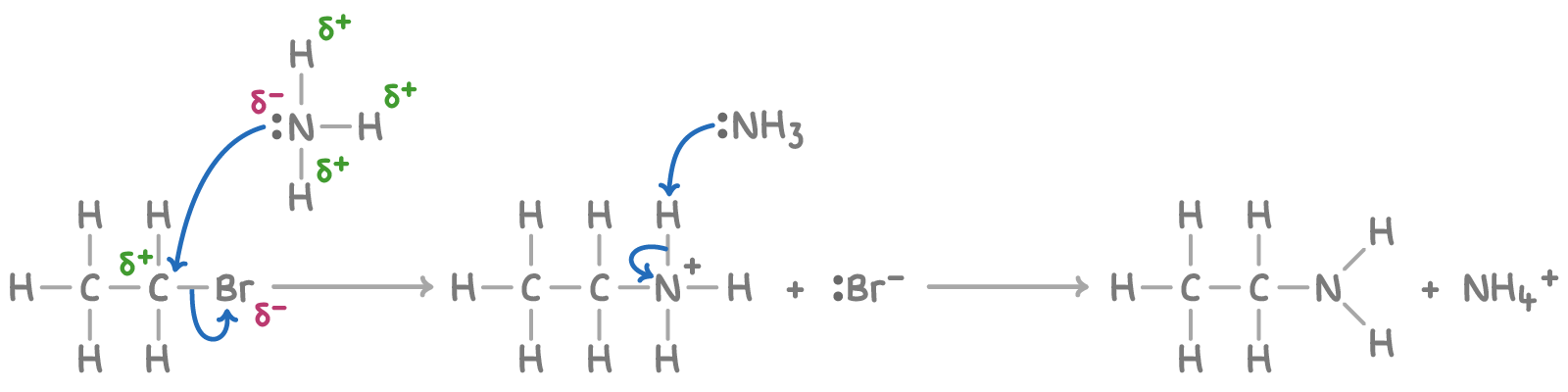 <p>furthest to the right nitrogen has a lone pair of electrons</p>