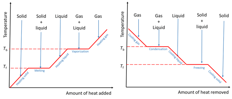 <p>graphically shows the phase changes that occur with an increase in temperature</p>