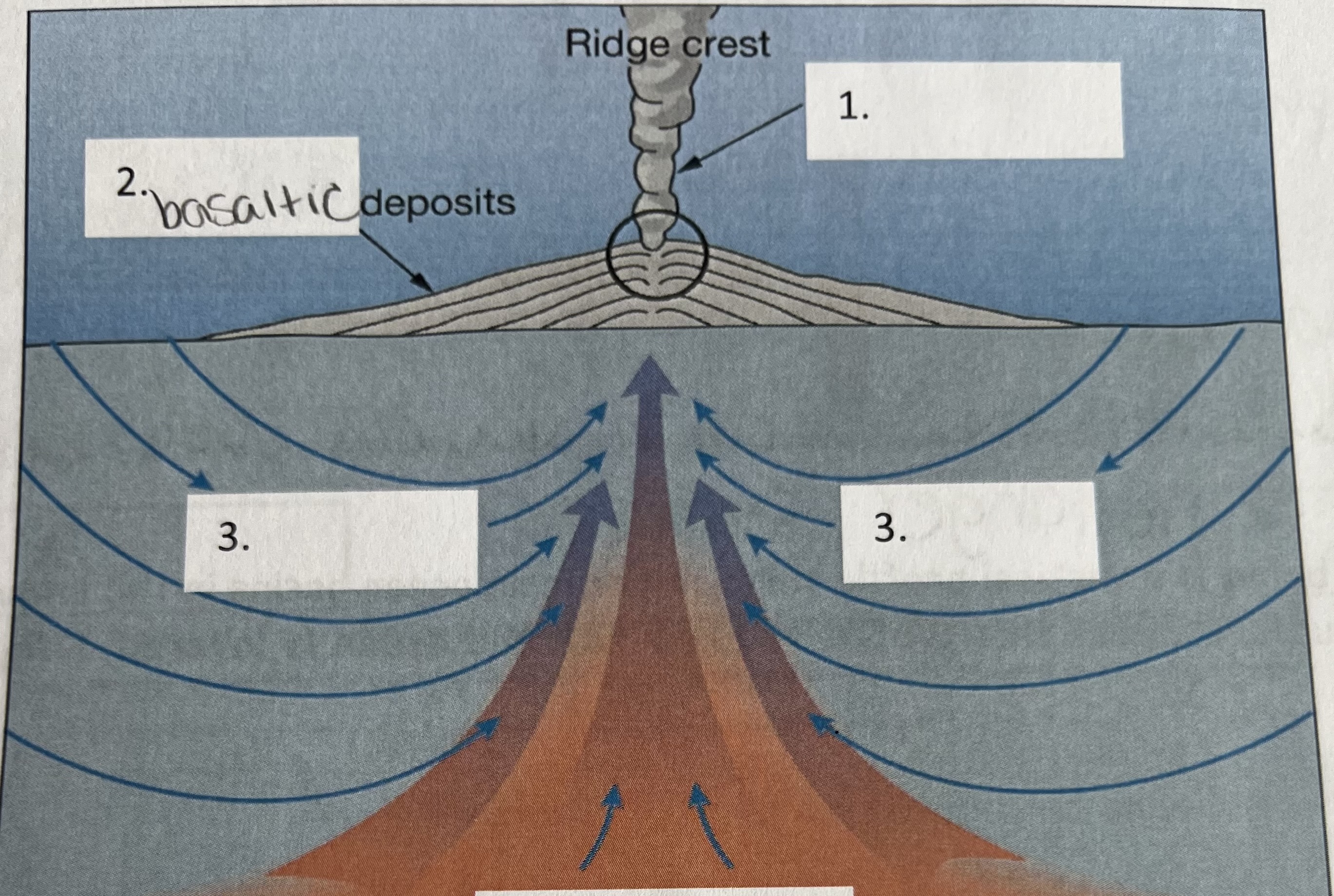 <p>What is the diagram showing the formation of? </p>