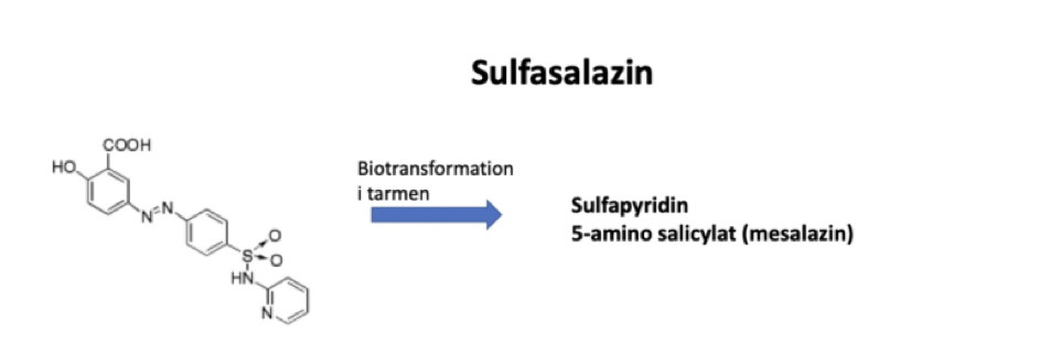 <p>En enzymhämmare (främst COX) som dämpar inflammation. Det är även en <strong>scavenger</strong> för reaktiva syremetaboliter. </p>