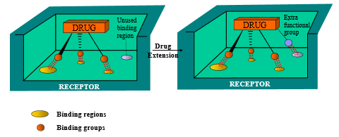 <p>by <strong>adding more functional groups</strong> that bind to additional sites, binding interactions are increased (drug can stay attached to site for longer)</p>