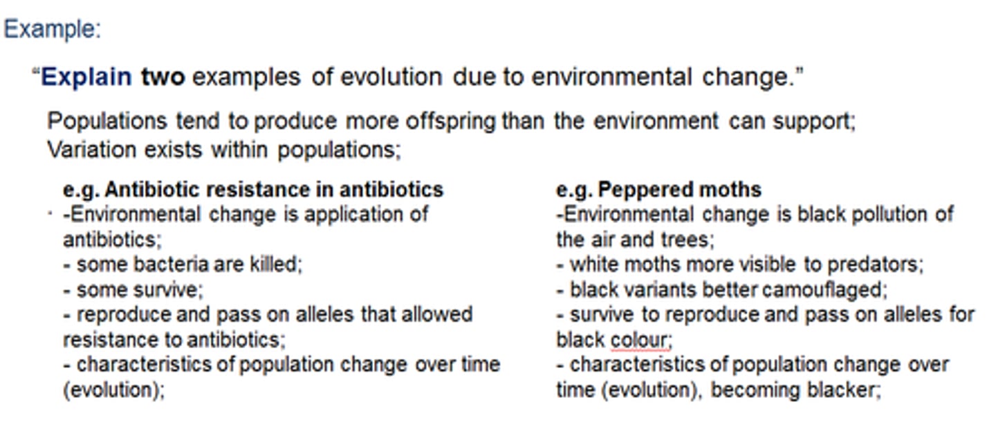 <p>Give a detailed account of causes, reasons or mechanisms</p>