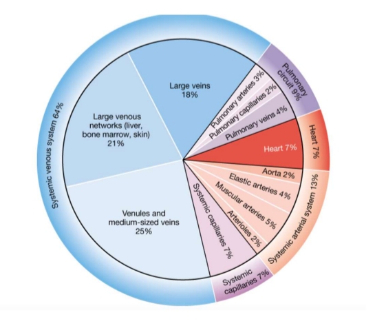 <p>Most of our blood volume is in the venous system </p>