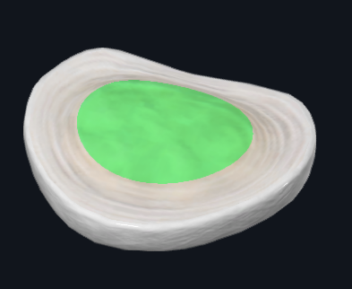 <p>What is highlighted</p>