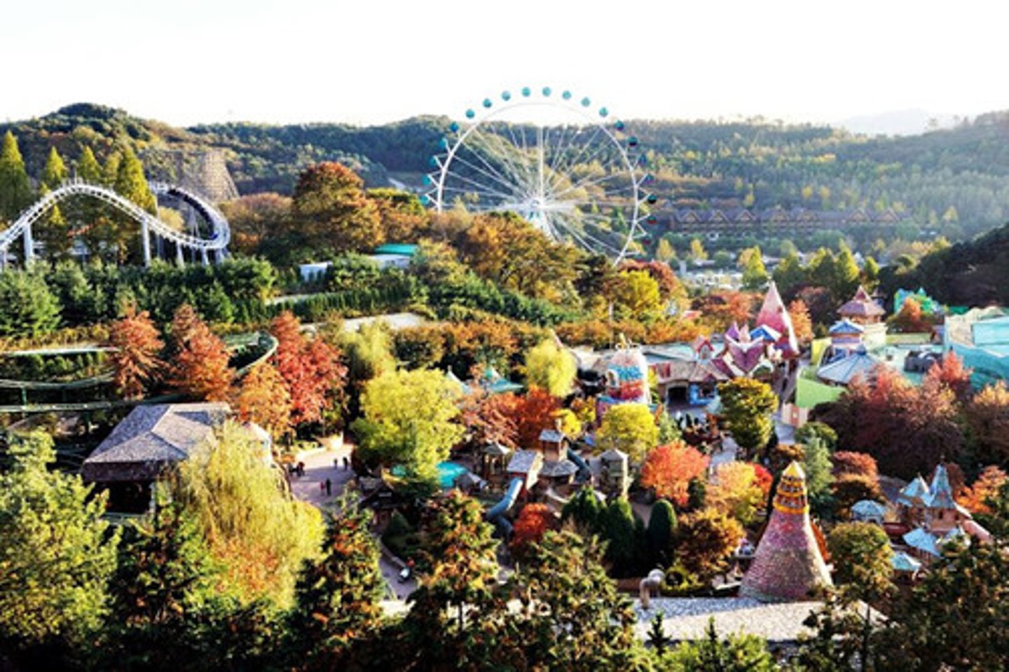 <p>parque de atracciones</p>