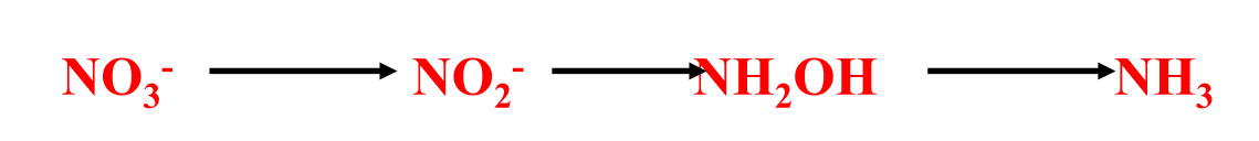 Plants, bacteria and fungi (mostly) 

\
