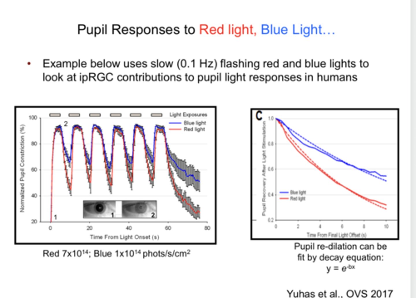 <p>Pupil Responses to Red Light &amp; Blue Light (Pic)</p>