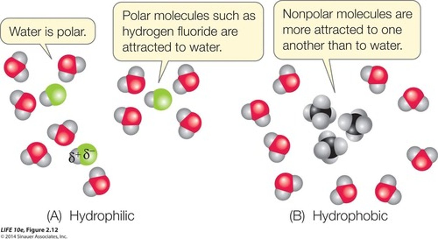 <p>Attraction between nonpolar molecules in water.</p>