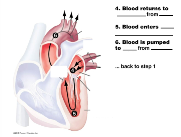 <p>Fill in the steps and diagram</p>