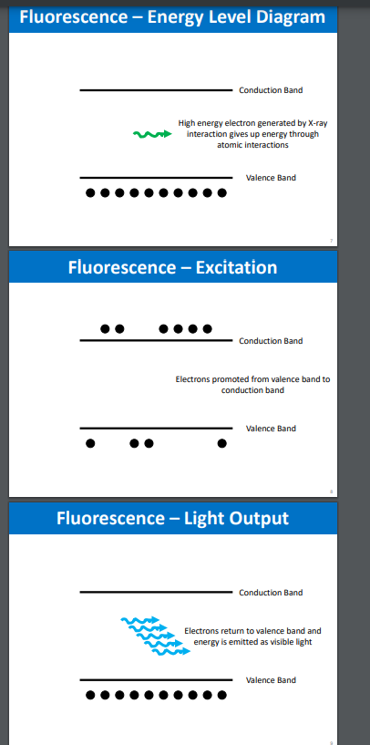 <ul><li><p>high energy electron generated by x0ray interaction gives up energy through atomic interaction</p></li><li><p>electrons promoted from valence band to conduction band </p></li><li><p>electrons return to valence band and energy is emitted as visible light </p></li></ul><p></p>