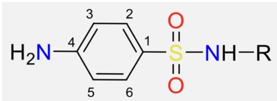 <p>NH2 in 4 attività antibatterica,&nbsp;</p><p>Posizione para per attività antimicrobica</p><p>Monosostituzione dell’azoto solfonamidico aumenta l’attività</p><p>L’aggiunta di sostituenti all’anello riduce l’atttività</p>
