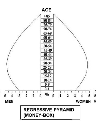 <p>Narrow base, broad middle, ageing population; regressive population.</p><p>-developed countries.</p><p>-Higher degree of ageing</p>
