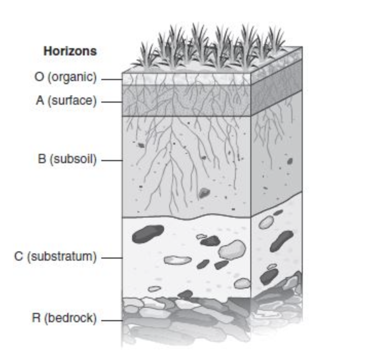 Figure 8.7 Soil profile.