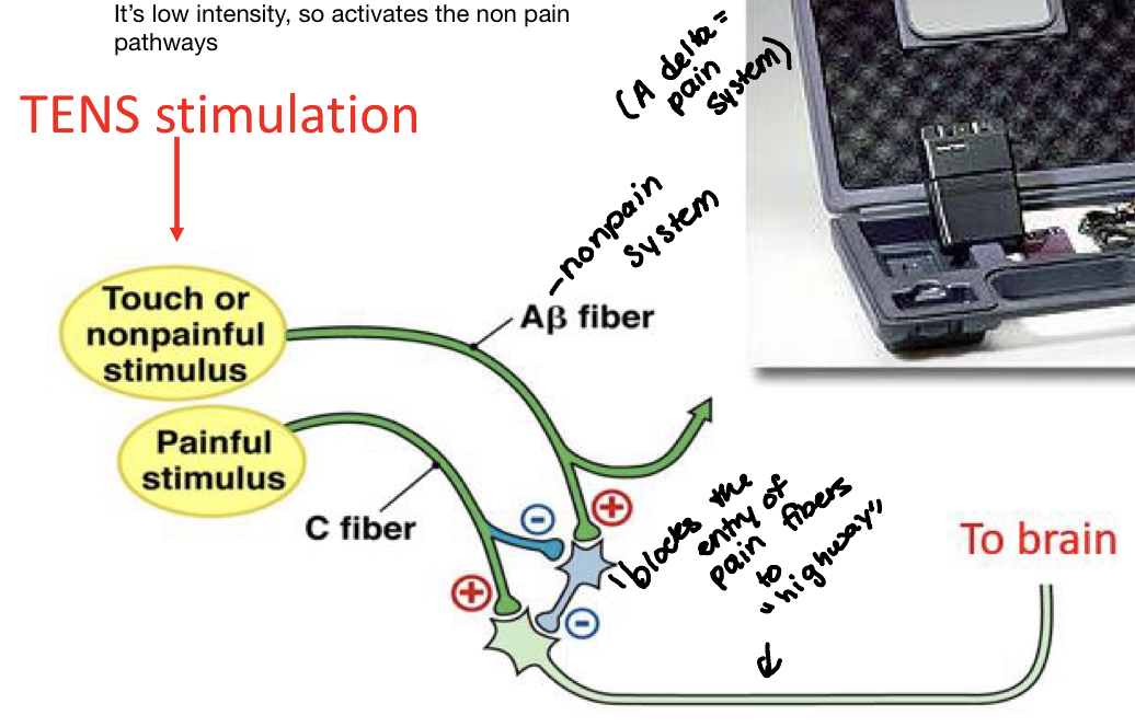 It delivers electrical pulses to the skin, and it is low intensity, so it activates the non pain pathways 