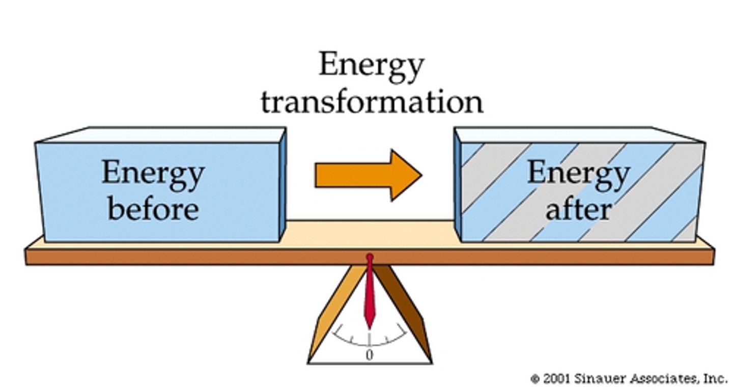 <p>Energy cannot be created nor destroyed only transformed or transferred.</p>