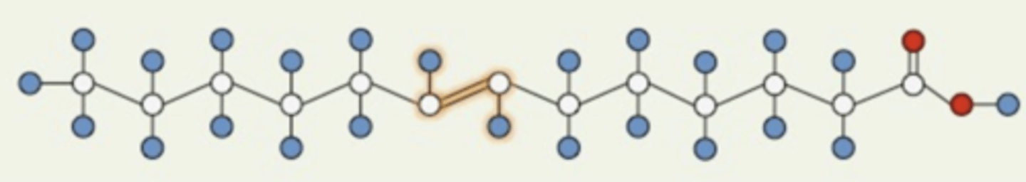 <p>What configuration is this double bond in?</p>