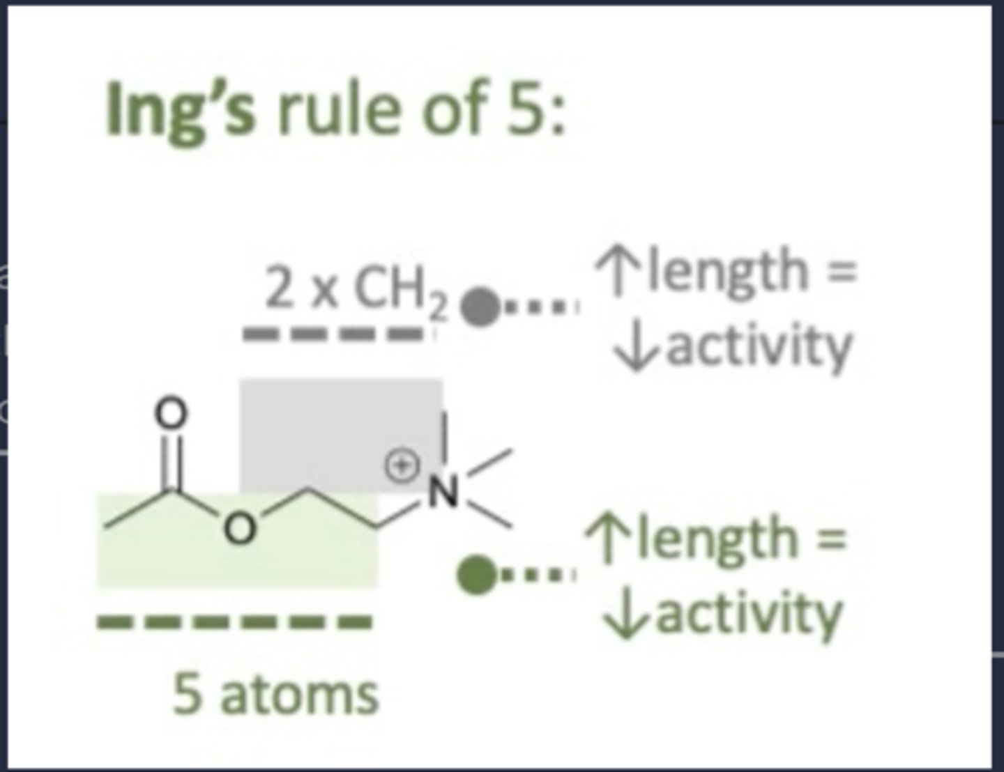 <p>A molecule must have no more than 5 atoms between the N-atom and terminal H-atom in order to exhibit muscarinic agonist activity.</p>