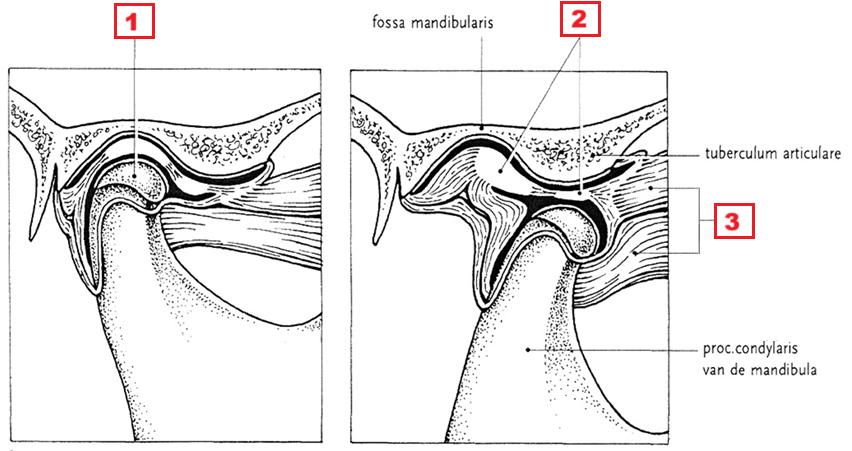 <p>2</p>